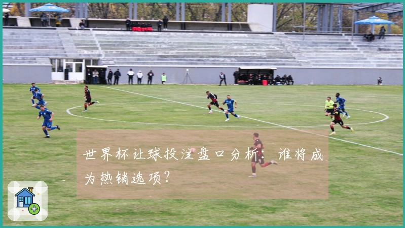 世界杯让球投注盘口分析：谁将成为热销选项？