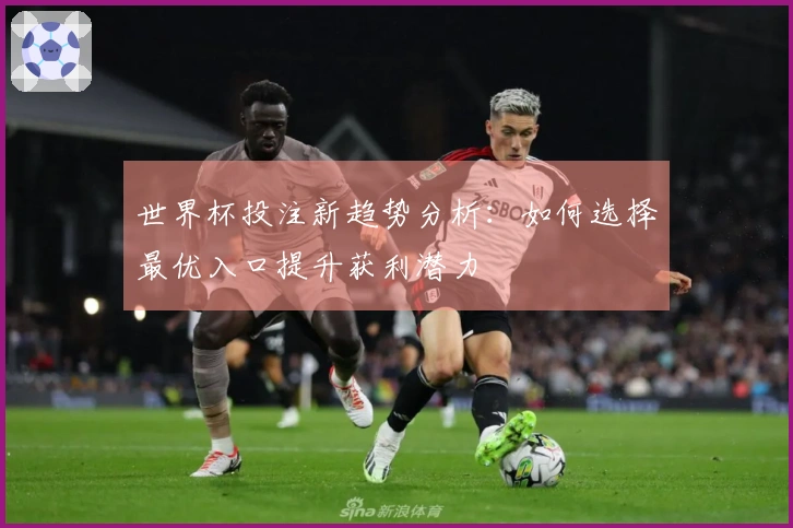 世界杯投注新趋势分析：如何选择最优入口提升获利潜力