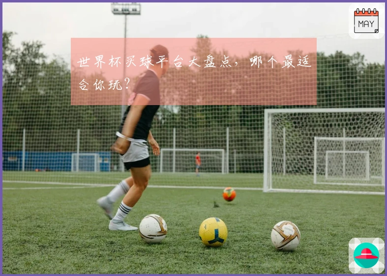 世界杯买球平台大盘点，哪个最适合你玩？