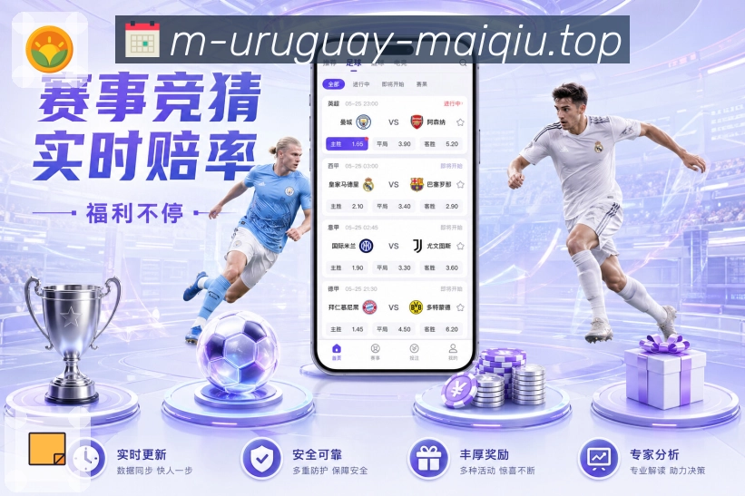 安全访问 - 加密登录与稳定线路